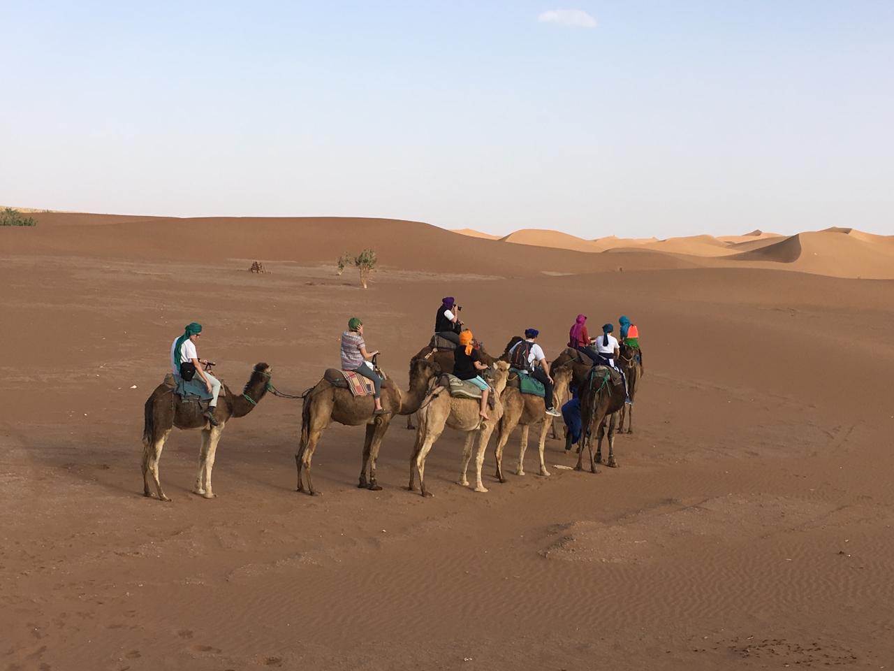 Camel caravan in Erg Chigaga dunes Morocco