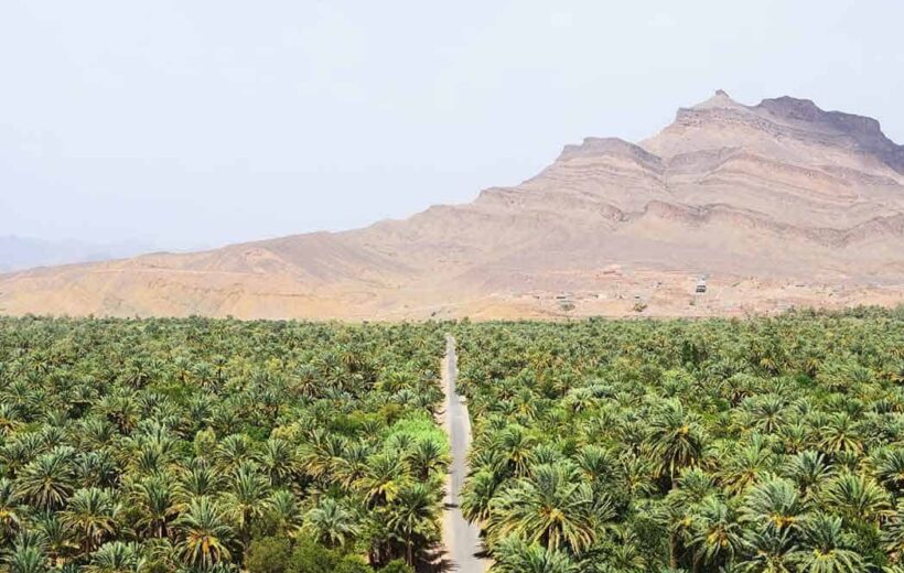 3 Days Ouarzazate to Erg Chigaga Desert Tour via M’hamid and Foum Zguid