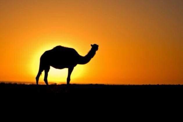 4-Day Erg Chegaga Desert Tour from Marrakech